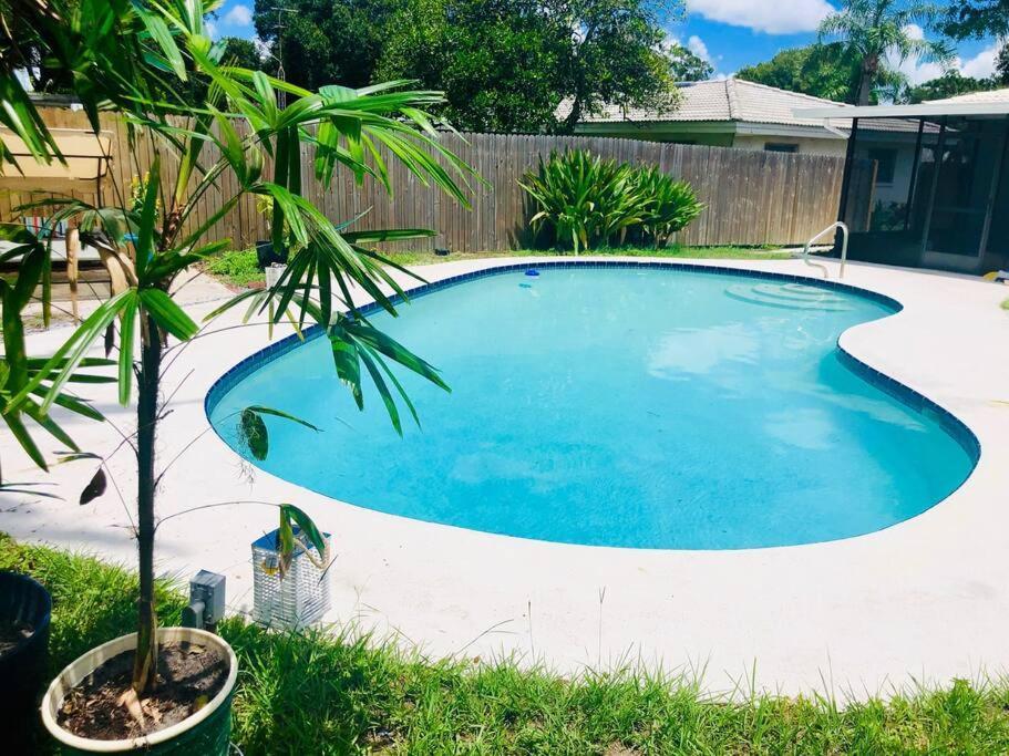 Paradise Hideaway Entire Guest Home Near Beach Clearwater Exterior photo